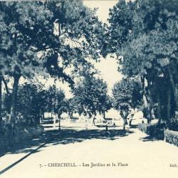 CPA Alg&eacute;rie Cherchell Les jardins et la Place