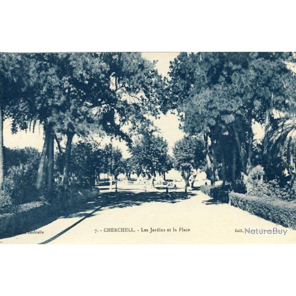 CPA Alg�rie Cherchell Les jardins et la Place