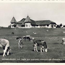 CP Suisse Jura Saignel&eacute;gier Halle aux march&eacute;s Concours de chevaux