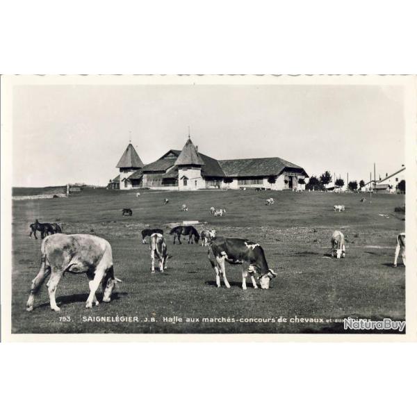 CP Suisse Jura Saignel�gier Halle aux march�s Concours de chevaux