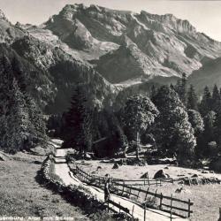 CP Suisse Saint Gall Toggenburg Alpti mit S&auml;ntis ferme
