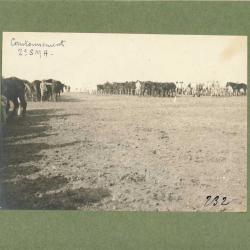 Photographie Ancienne Guerre Cantonnement 2e SMA