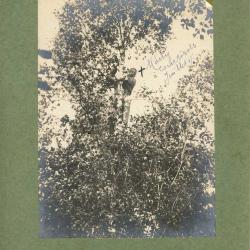 Photographie Ancienne Guerre Marty Courtisols 1915