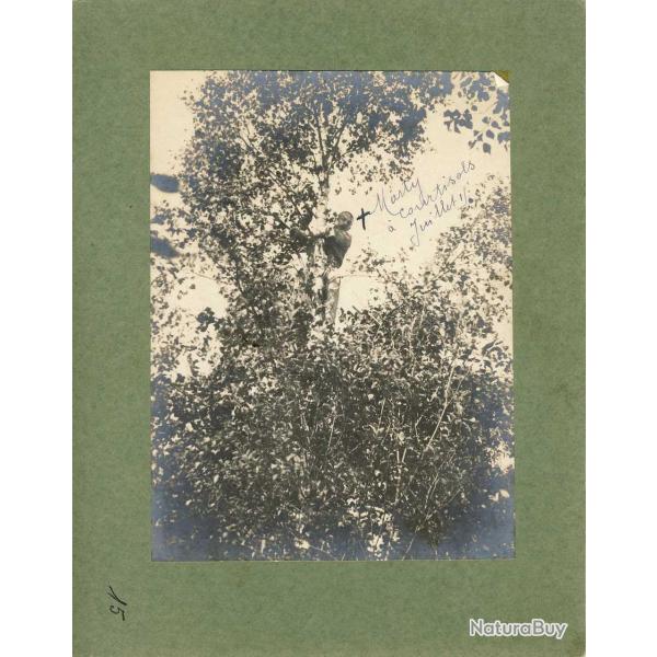 Photographie Ancienne Guerre Marty Courtisols 1915