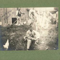 Photographie Ancienne Guerre Corvée fumier Courtisols