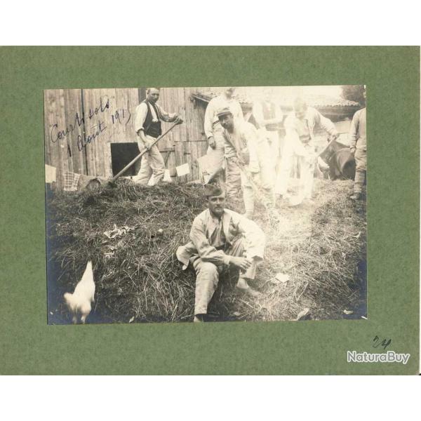 Photographie Ancienne Guerre Corv�e fumier Courtisols