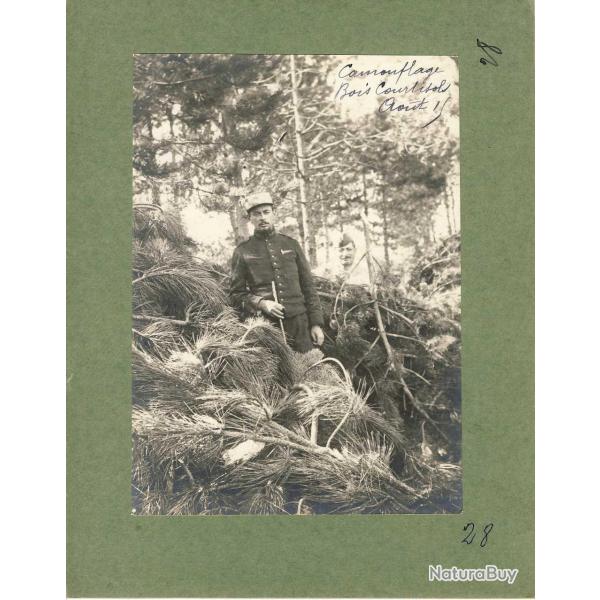 Photographie Ancienne Guerre Bois Courtisols Ao�t 1915