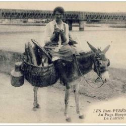 CPA 64 Basses Pyr&eacute;n&eacute;es Pays Basques Laiti&egrave;re