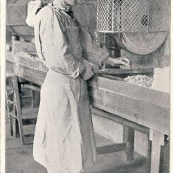 CPA Militaria Aveugle Famille du Rameau d'Olivier N&deg;44