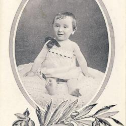 CPA Militaria Aveugle Famille du Rameau d'Olivier N&deg;73