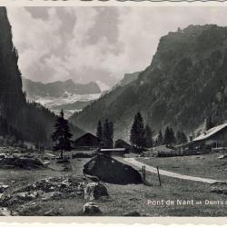 CP Suisse Vaud Pont de Nant Dents de Morcles ferme