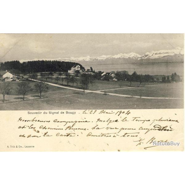CPA Suisse Vaud Souvenir de du Signal de Bougy 1904