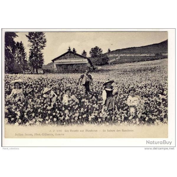 CPA Suisse Vaud Les Avants sur Montreux La saison des Narcisses