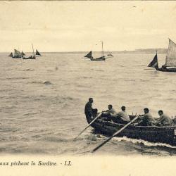 CPA Bateau p&ecirc;chant la sardine au milieu de voiliers LL