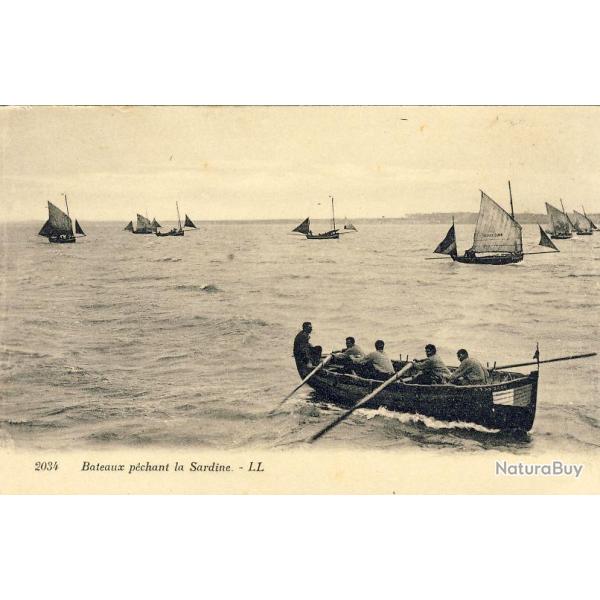 CPA Bateau p�chant la sardine au milieu de voiliers LL
