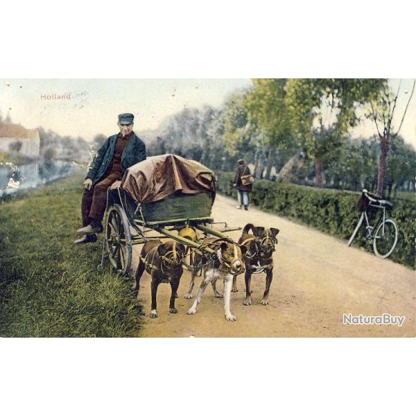 CPA Pays-Bas Holland Honderkar Attelage � chiens 1911