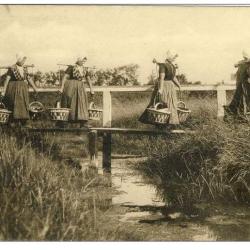 CP Pays-Bas Holland Naar de stad. Vischvrouwen Zeeland