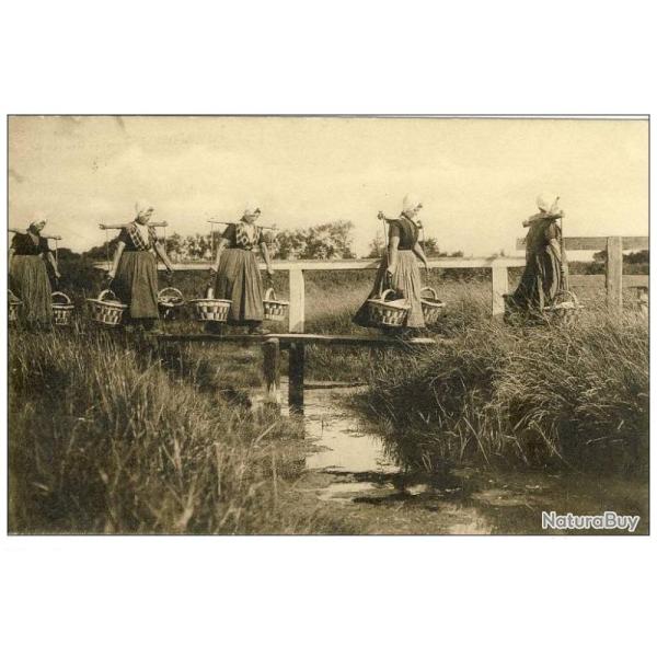 CP Pays-Bas Holland Naar de stad. Vischvrouwen Zeeland