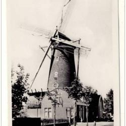 CP photo Pays-Bas Mooi Nederland Korenmolen Moulin