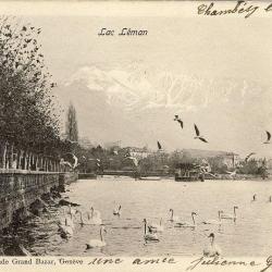 CPA Suisse Gen&egrave;ve Lac L&eacute;man Grand Bazar 1903