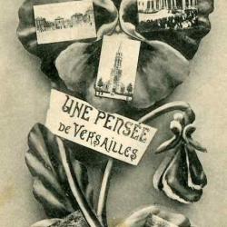 CPA 78 YVELINES Une pens&eacute;e de Versailles Fleur
