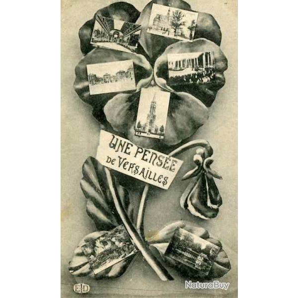 CPA 78 YVELINES Une pens�e de Versailles Fleur