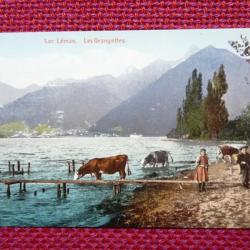 CPA Suisse Lac L&eacute;man Les Grangettes