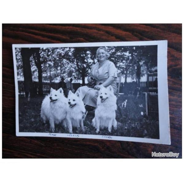 CP Photo Animaux Chien de race Concours �levage 1936
