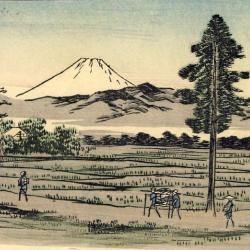 CPA Japon Japan Tokyo Paysan rizi&egrave;re 1912