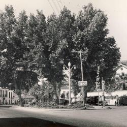 CP ESPAGNE TORREMOLINOS Malaga Jardines Place