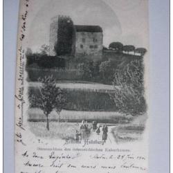 CPA SUISSE Argovie Schloss Habsburg anim&eacute; 1901