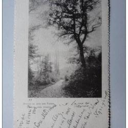 CPA Suisse Gen&egrave;ve Sentier du Bois des Fr&egrave;res Vernier