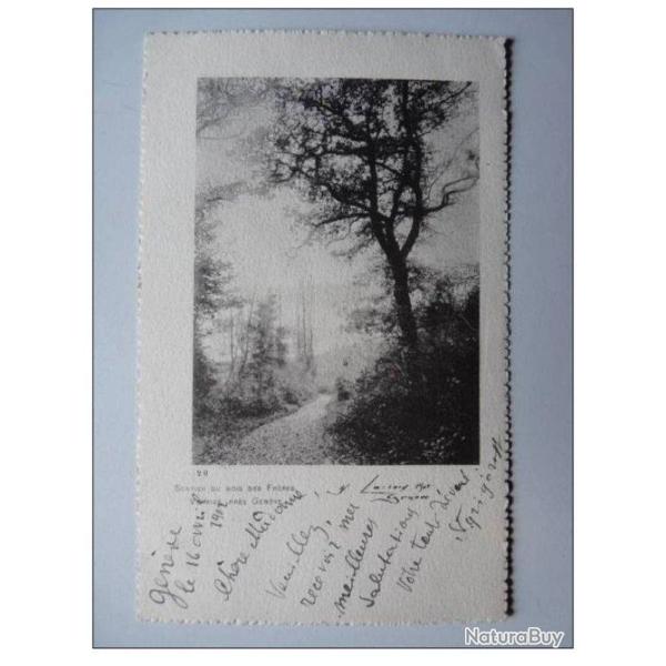 CPA Suisse Gen�ve Sentier du Bois des Fr�res Vernier