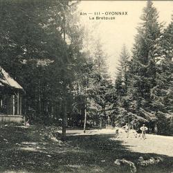 CPA 01 AIN - OYONNAX La Bretouze animé Kiosque