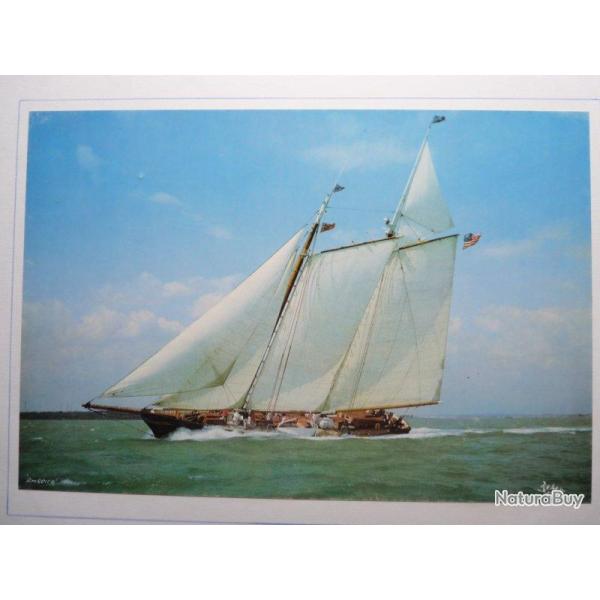 Grande photographie course Voiliers sign�e ?