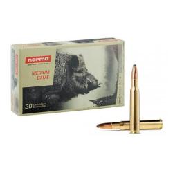 Munitions NORMA 30-06 PPDC 180gr x20