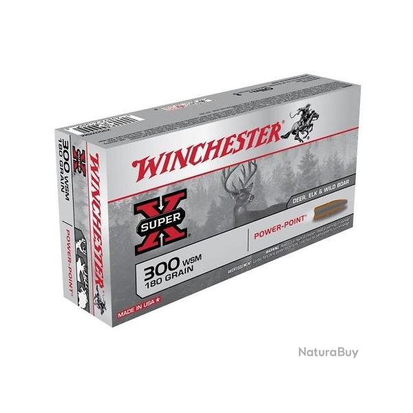 Munitions WINCHESTER 300 WSM Power Point 180gr x20