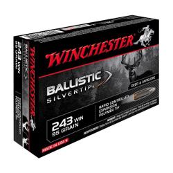 MUNITIONS WINCHESTER 243WIN BST 95GR X20
