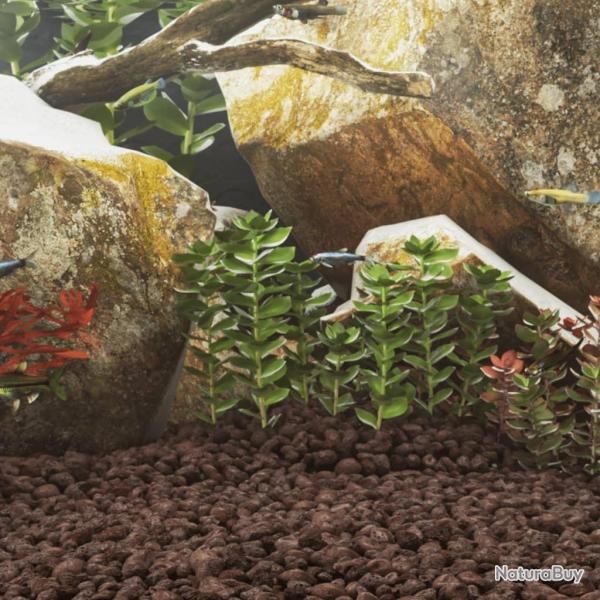 Roches volcaniques 10 kg rouge 5-8 cm