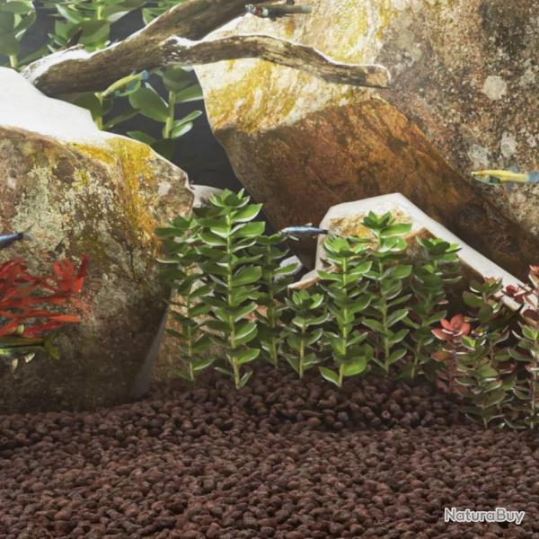 Roches volcaniques 25 kg rouge 5-8 mm