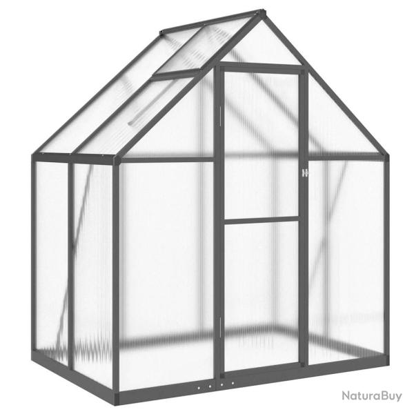 Serre tente abri plante fleur l�gumes avec cadre de base 169 x 114 x 195 cm aluminium anthracite 02