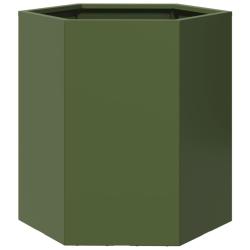 Jardini&egrave;re bac lit sur&eacute;lev&eacute; plantes fleurs terrasse jardin olive hexagone 46 x 40 x 45 cm acier ver