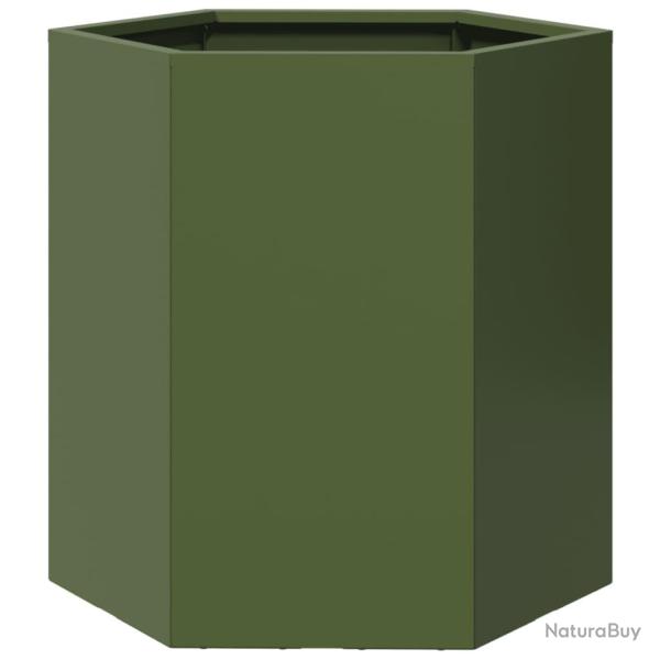 Jardini�re bac lit sur�lev� plantes fleurs terrasse jardin olive hexagone 46 x 40 x 45 cm acier ver