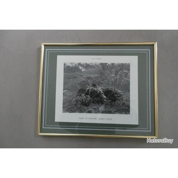 ILLUSTRATIONS DE G F  ROTIG PEINTRE ANIMALIER