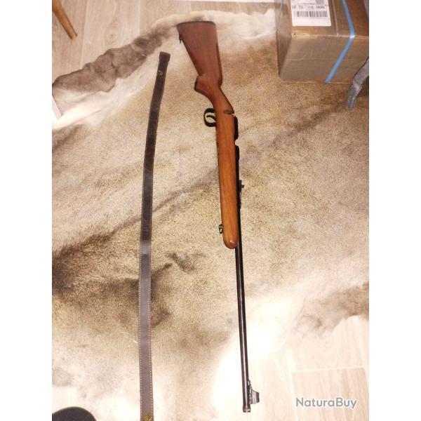 Carabine 22Lr avec sangle et chargeur amovible 5cps pas de vis pour ajouter une silencieux