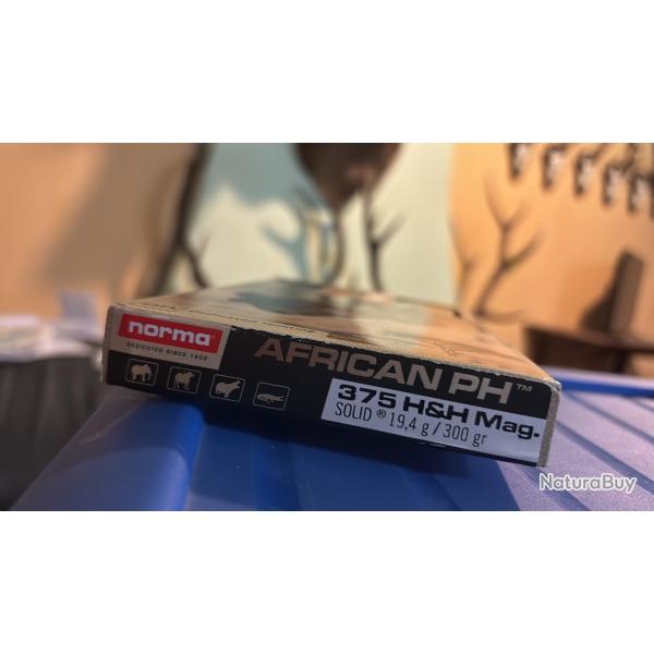 Munitions norma 375 h&h