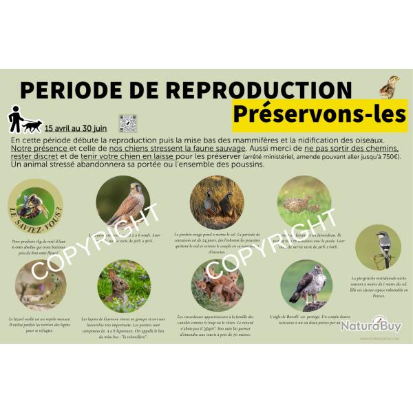 Panneau zone reproduction