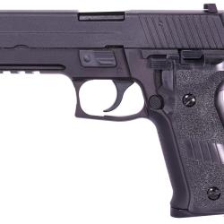 WE P226 Rail GBB (Noir)