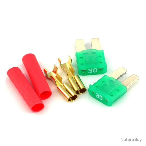 Gate Micro Fusible (Lot de 2)