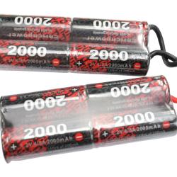 EnrichPower Batterie NiMh 9.6v 2000mAh Double Pack